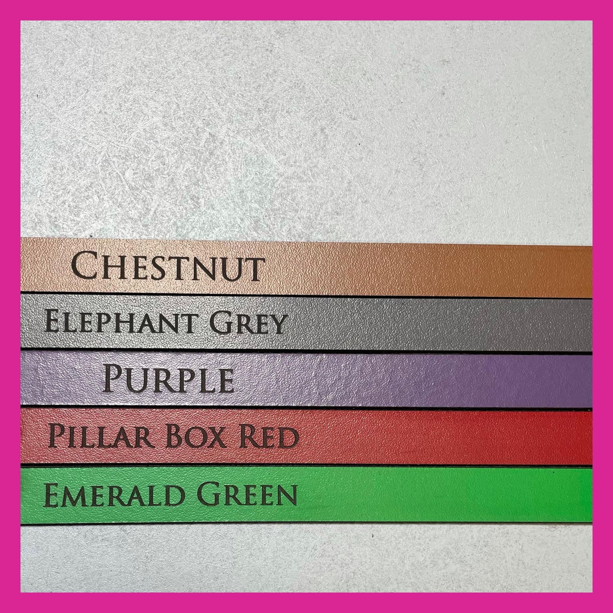 Personalised Engraved Leather Strap Clip Keyring in a Choice of Colours - Image 6